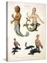 Mermaid, from Encyclopaedia Londinensis, 1817-J. Pass-Stretched Canvas