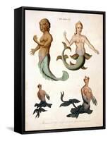 Mermaid, from Encyclopaedia Londinensis, 1817-J. Pass-Framed Stretched Canvas