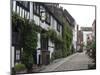 Mermaid Inn, Mermaid Street, Rye, Sussex, England, United Kingdom, Europe-Ethel Davies-Mounted Photographic Print