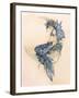 Mermaid Moon-Linda Ravenscroft-Framed Giclee Print