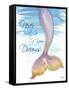 Mermaid Tail II (never let go of dreams)-Elizabeth Medley-Framed Stretched Canvas