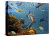 Mermaid Time-Ata Alishahi-Stretched Canvas