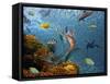 Mermaid Time-Ata Alishahi-Framed Stretched Canvas