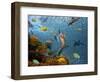 Mermaid Time-Ata Alishahi-Framed Giclee Print