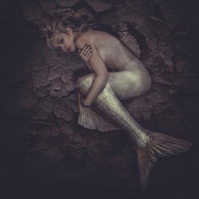 Mermaid Trapped in a Sea of Mud, Concept Fantasy Fish Woman with Beautiful  Blond' Photographic Print - outsiderzone