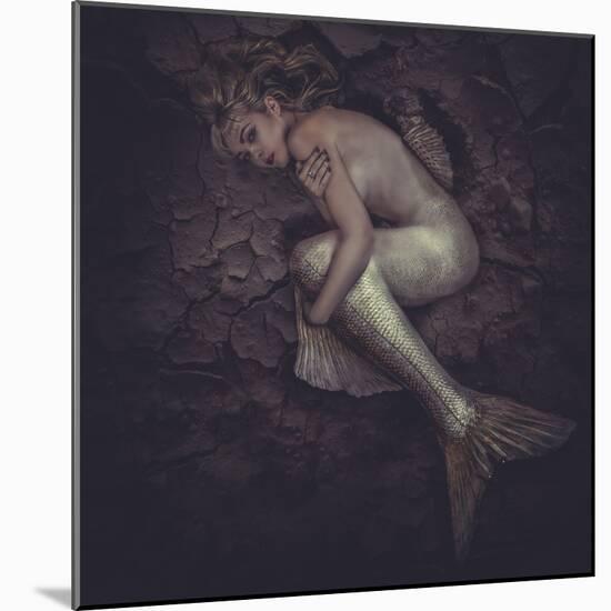 Mermaid Trapped in a Sea of Mud, Concept Fantasy Fish Woman with Beautiful Blond-outsiderzone-Mounted Photographic Print