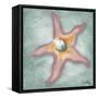 Mermaid Treasure II-Elizabeth Medley-Framed Stretched Canvas