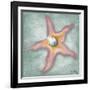 Mermaid Treasure II-Elizabeth Medley-Framed Art Print