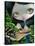 Mermaid with a Baby Alligator-Jasmine Becket-Griffith-Stretched Canvas