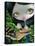 Mermaid with a Baby Alligator-Jasmine Becket-Griffith-Stretched Canvas