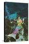 Mermaid with Mirror-null-Stretched Canvas