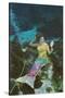 Mermaid with Mirror-null-Stretched Canvas