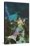 Mermaid with Mirror-null-Stretched Canvas