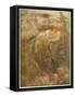 Mermaid-Arthur Rackham-Framed Stretched Canvas