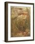 Mermaid-Arthur Rackham-Framed Photographic Print