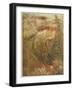 Mermaid-Arthur Rackham-Framed Photographic Print