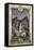 Mermaid-Arthur Rackham-Framed Stretched Canvas