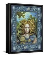 Mermaid-Dan Craig-Framed Stretched Canvas