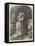 Mermaiden's Well, Vide Bride of Lammermoor-John Absolon-Framed Stretched Canvas