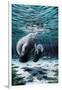 Mermaids of Crystal River-Dann Spider-Framed Premium Giclee Print