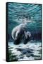 Mermaids of Crystal River-Dann Spider-Framed Stretched Canvas