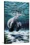 Mermaids of Crystal River-Dann Spider-Stretched Canvas