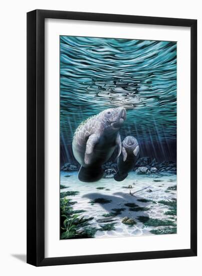 Mermaids of Crystal River-Dann Spider-Framed Premium Giclee Print