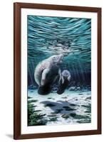 Mermaids of Crystal River-Dann Spider-Framed Giclee Print