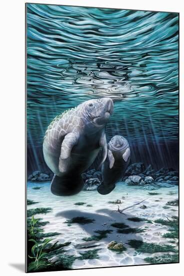 Mermaids of Crystal River-Dann Spider-Mounted Giclee Print