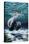 Mermaids of Crystal River-Dann Spider-Stretched Canvas