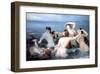 Mermaids of the Sea-Charles Edouard Boutibonne-Framed Art Print