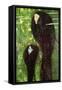 Mermaids-Gustav Klimt-Framed Stretched Canvas