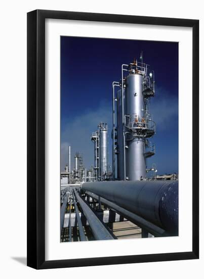 Merox Plant-null-Framed Photographic Print