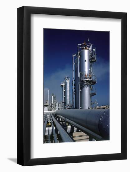 Merox Plant-null-Framed Photographic Print