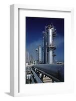Merox Plant-null-Framed Photographic Print