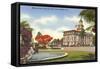 Merrick Park, City Hall, Coral Gables, Florida-null-Framed Stretched Canvas