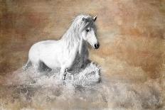 Stallion Face-Merrie Asimow-Mounted Photographic Print