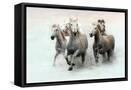 Framed Canvas