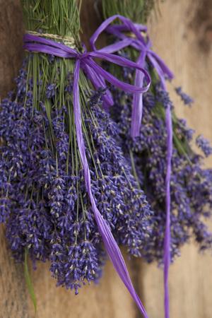 Bunches of Lavender Drying Shed at Lavender Festival, Sequim, Washington, USA