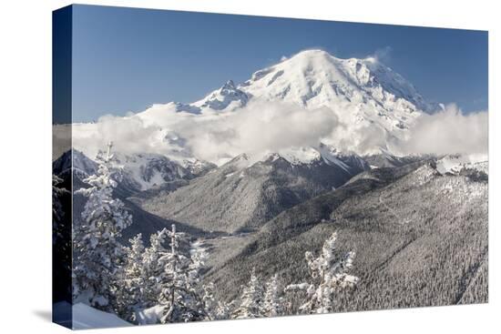 Stretched Canvas Print, , large