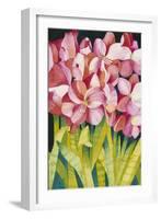 Merry Amaryllis-Mary Russel-Framed Giclee Print