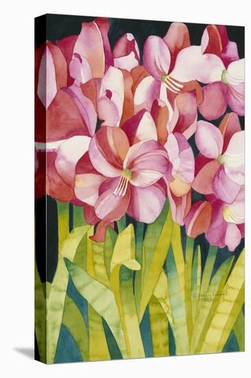 Merry Amaryllis-Mary Russel-Stretched Canvas