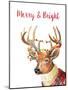 Merry and Bright Reindeer-Lanie Loreth-Mounted Art Print