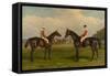 Merry Andrew and Chillington Horses on a Racecourse-William & Havell, Edmund Hopkins-Framed Stretched Canvas