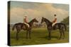 Merry Andrew and Chillington Horses on a Racecourse-William & Havell, Edmund Hopkins-Stretched Canvas