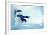 Merry Christmas and Happy New Year Greeting Card with Copy-Space.Happy Snowman Standing in Winter C-lilkar-Framed Photographic Print