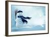 Merry Christmas and Happy New Year Greeting Card with Copy-Space.Happy Snowman Standing in Winter C-lilkar-Framed Photographic Print