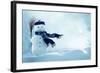 Merry Christmas and Happy New Year Greeting Card with Copy-Space.Happy Snowman Standing in Winter C-lilkar-Framed Photographic Print