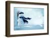 Merry Christmas and Happy New Year Greeting Card with Copy-Space.Happy Snowman Standing in Winter C-lilkar-Framed Photographic Print