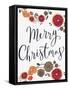 Merry Christmas Dried Fruit-Kim Allen-Framed Stretched Canvas